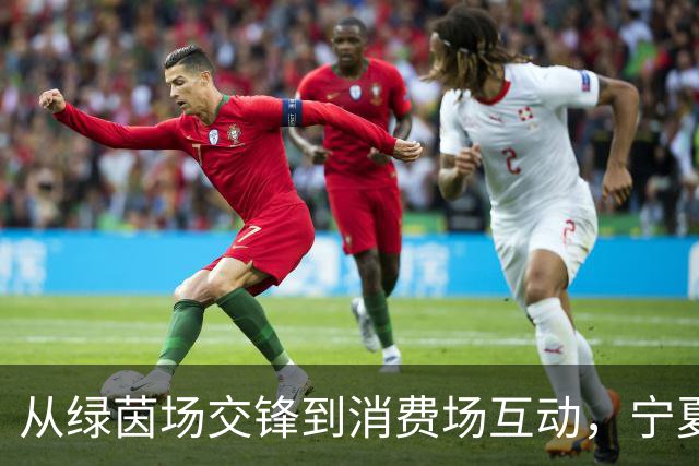 从绿茵场交锋到消费场互动，宁夏红借力足球营销撬动终端新增长