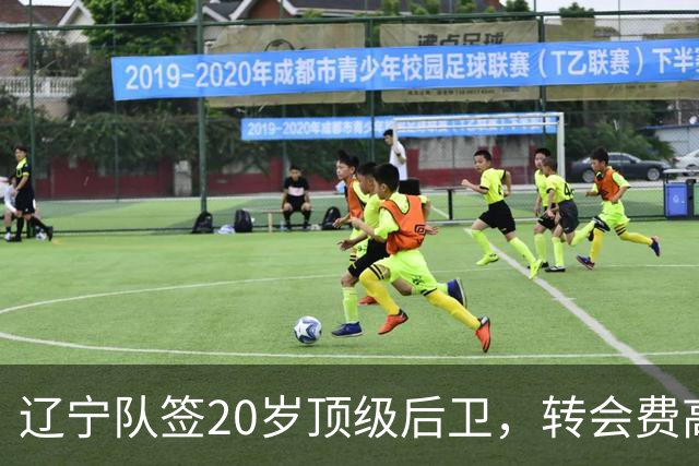 辽宁队签20岁顶级后卫，转会费高达8位数；北控官宣多名外援
